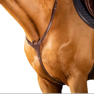 Dy'on Breast Harness With Bridge