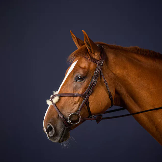 Dy'on Figure 8 Noseband Bridle - New English Collection