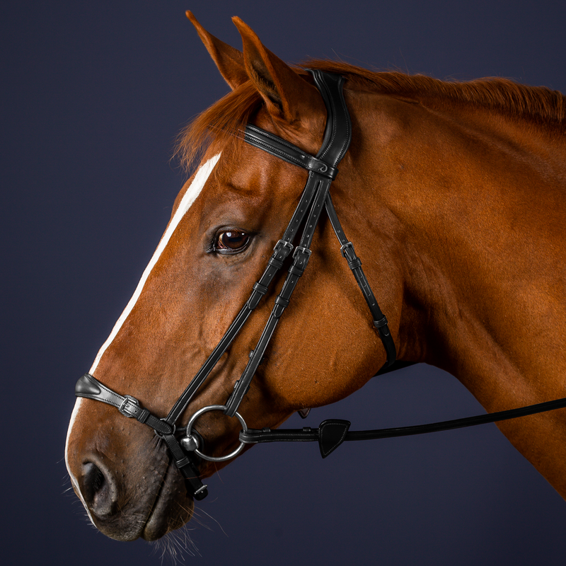 Dy'on Hoofdstel Met Verstelbare Lage Neusriem - New English Collectie