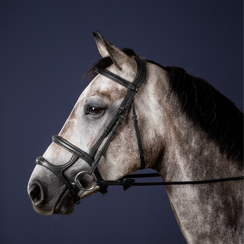 Dy'on Hoofdstel Dubbele Neusriem - New English Collectie