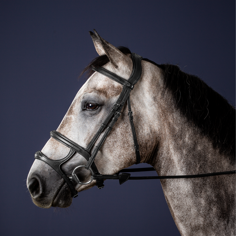 Dy'on Hoofdstel Dubbele Neusriem - New English Collectie