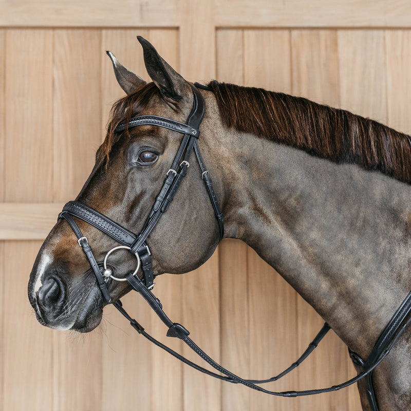 Dy'on Gewoven Hoofdstel - New English Collectie