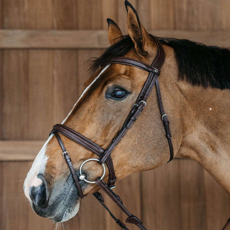 Dy'on Gevlochten Flash Noseband Hoofstel - New English Collection