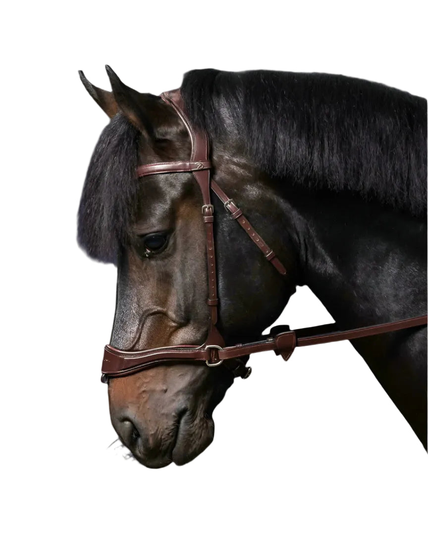 Dy'on Hoofdstel D Motion - New English Collection