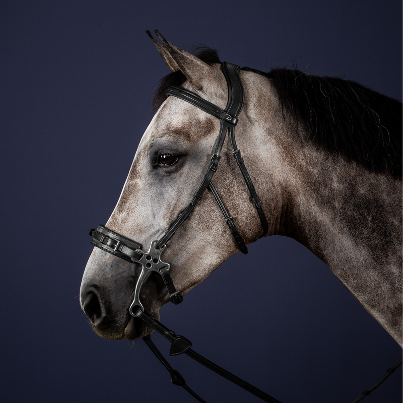 Dy'on Hackamore Hoofdstel - New English Collectie
