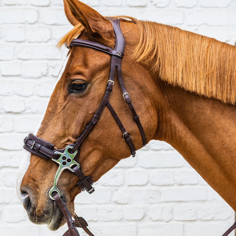 Hackamore Dy'on - Nouveau modèle