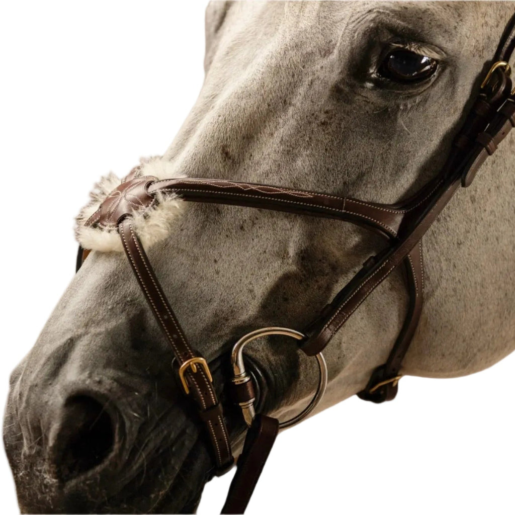 TRUST Bridle Oslo - Muserolle mexicaine