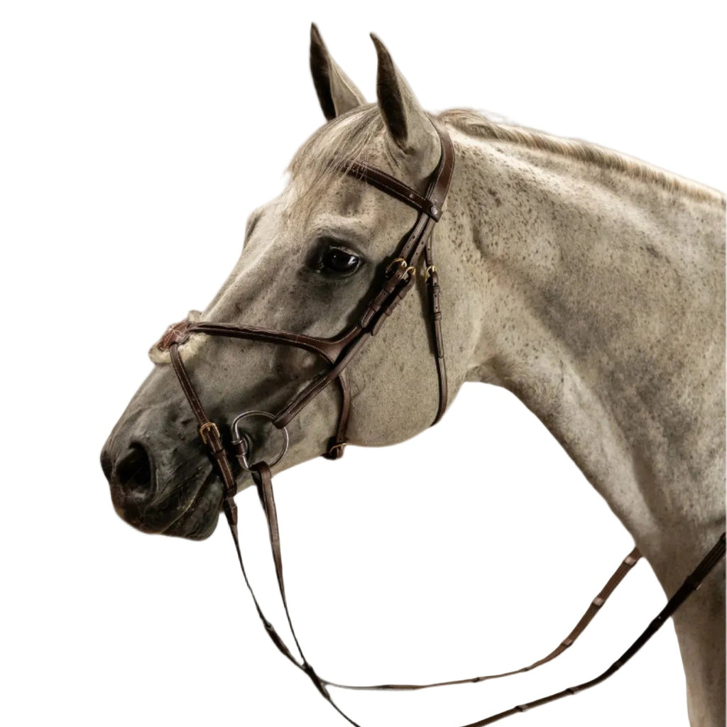 TRUST Bridle Oslo - Muserolle mexicaine