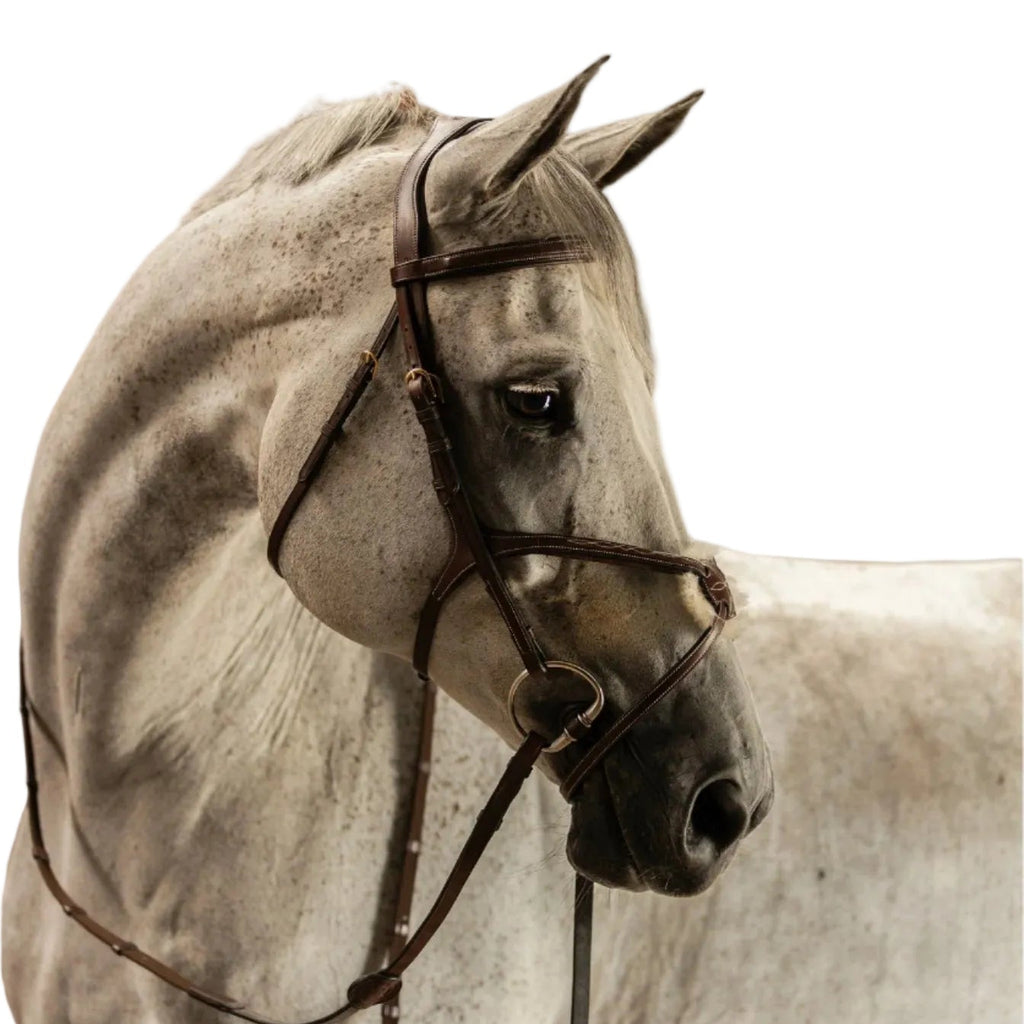 TRUST Bridle Oslo - Muserolle mexicaine