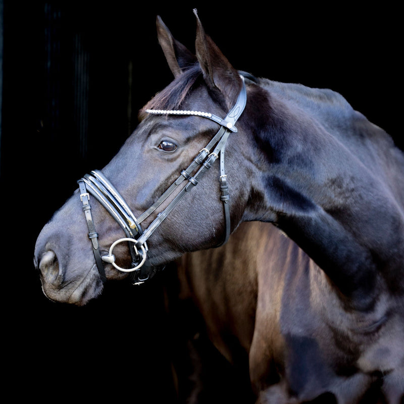LJ Pro Selected Hoofdstel Sunline Silver - Lak