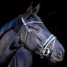 LJ Pro Selected Zaum Sunline Silber - Lackleder