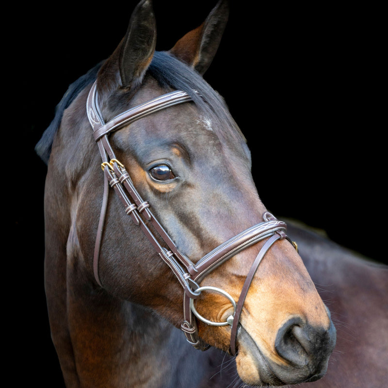 LJ Pro Selected Hoofdstel Heritage