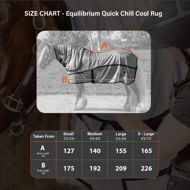 Equilibrium Quick Chill Rug