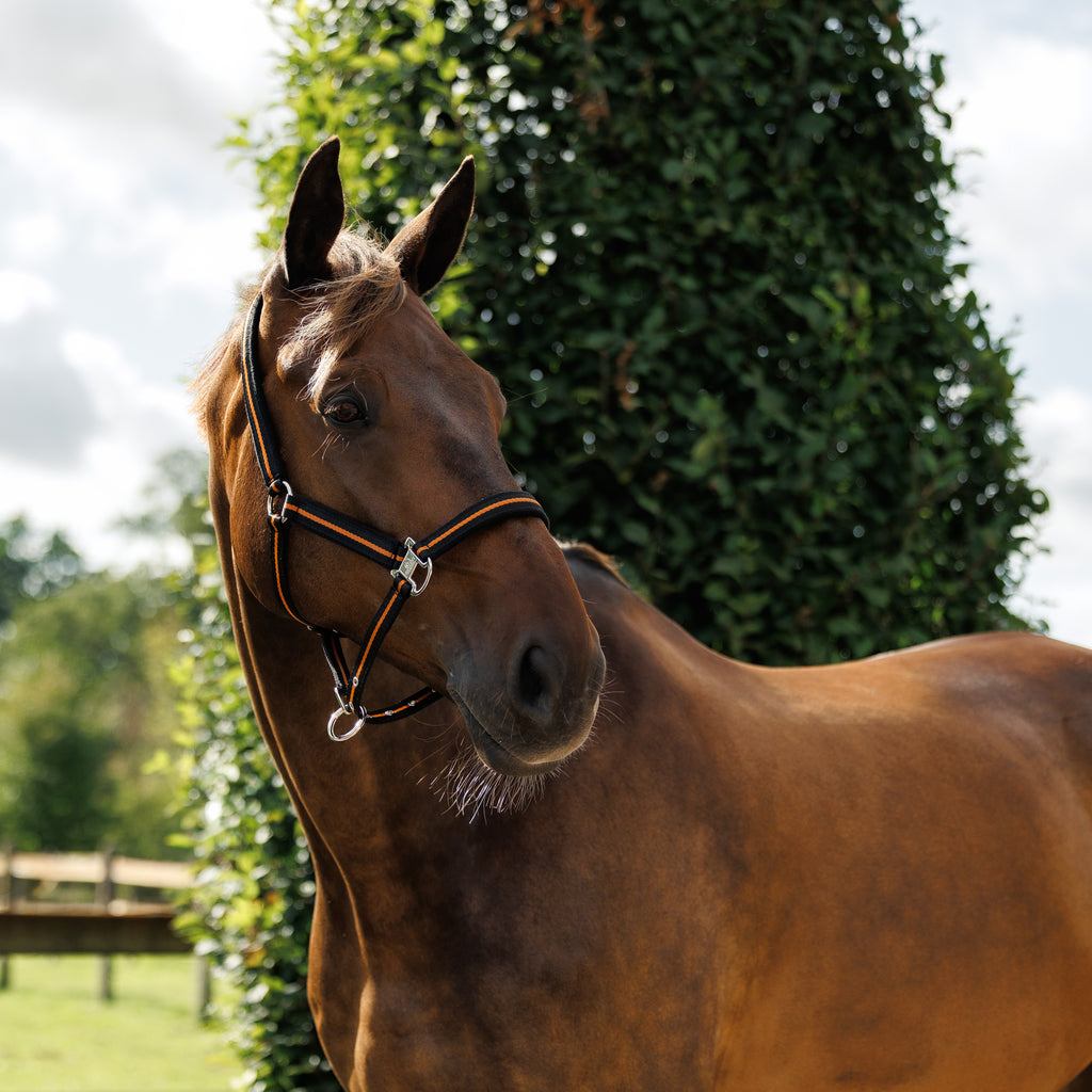 Emmers Halter Signature