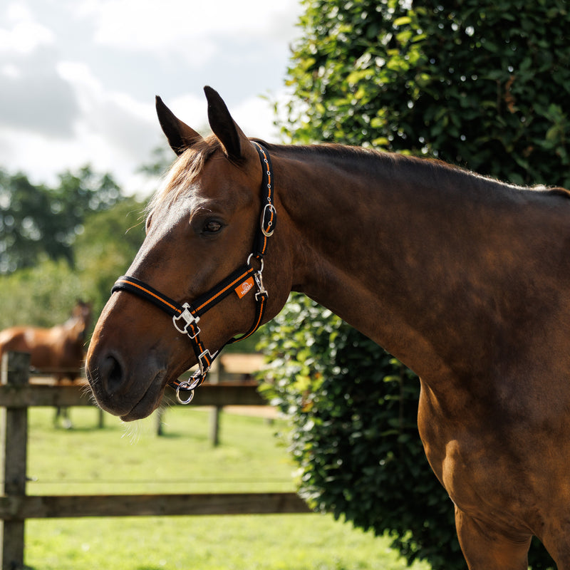 Emmers Halter Signature