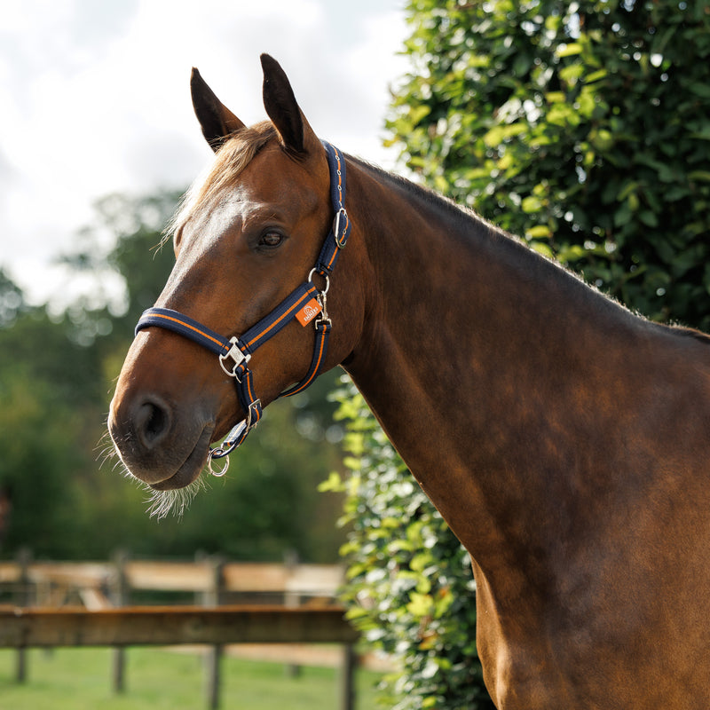Emmers Halter Signature