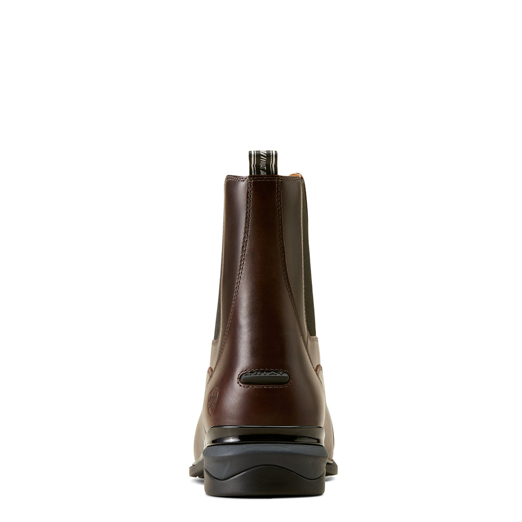 Ariat Jodhpurs Devon Axis Pro - Zip - Waxed Chocolate - Men