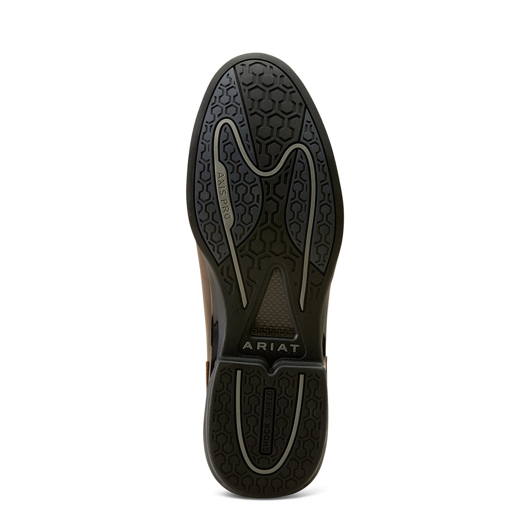 Ariat Jodhpurs Devon Axis Pro - Zip - Waxed Chocolate - Men