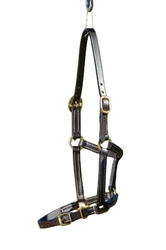 HFI Leather Foal Halter