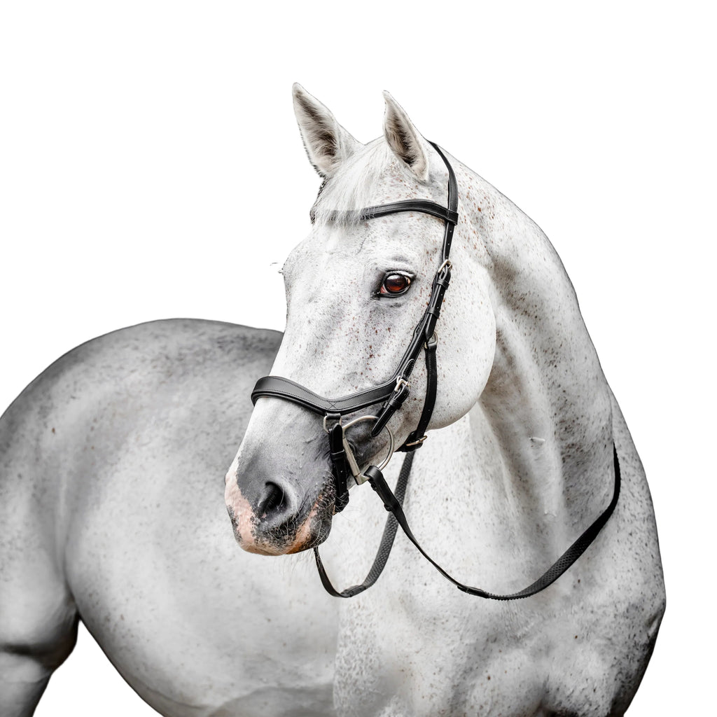 Horseware Micklem Competition Bridle