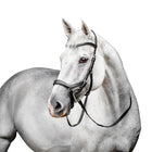 Horseware Micklem Competition Bridle
