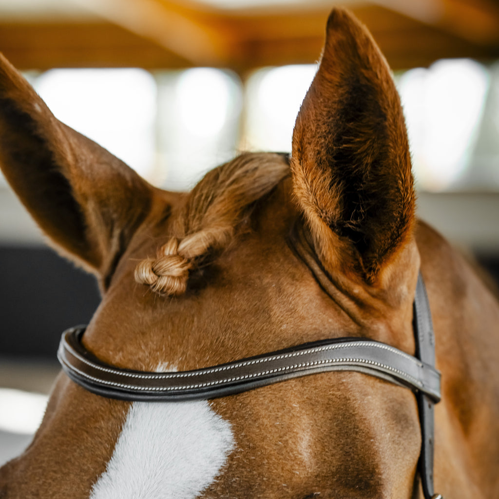 Horseware Micklem Competition Bridle