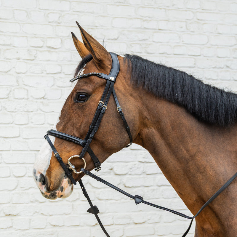 Dy'on Bridle Medium Flash Noseband - Soft Leather Collection