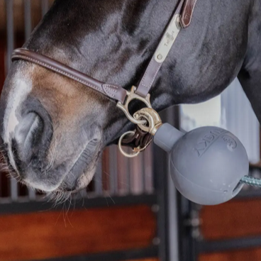 Kentucky Gummiball Schutzwand & Anbindestrick