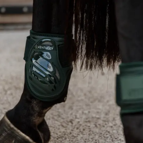 Kentucky Kogelbeschermers - Jonge Paarden