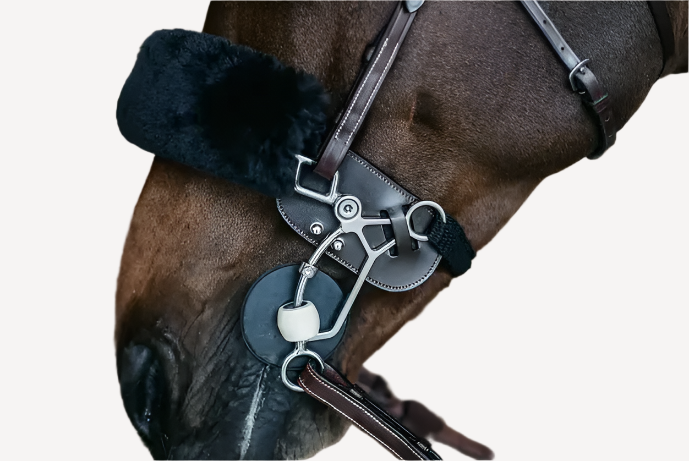 Dy'on Hackamore Bescherming