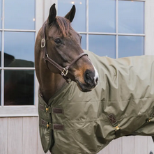 Kentucky Winterdeken All Weather - Waterproof - 160G