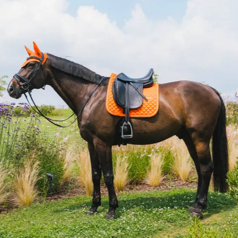 Kentucky Satteldecke Diamond Rope - Dr
