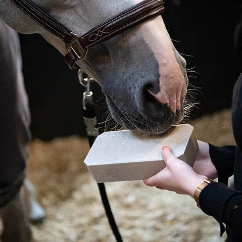 Cavalor Stable Rocky Liksteen