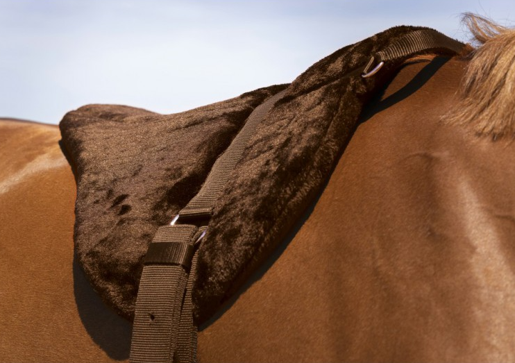 Norton Komfort Bareback Pad