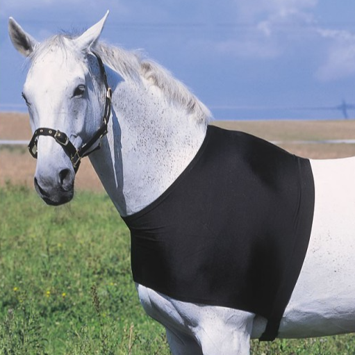 Equith�me Shoulder Protection
