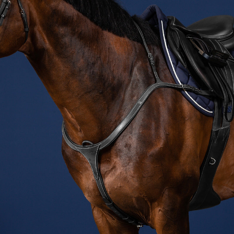 Dy'on Long Bridge Breastplate - US Collectie