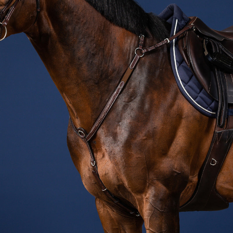 Dy'on Bridge Breastplate - US Collectie