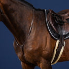 Dy'on Yoke - Collection américaine