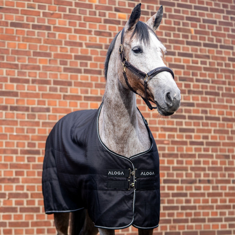 Aloga Equestrian Rug Pro Stable 100g
