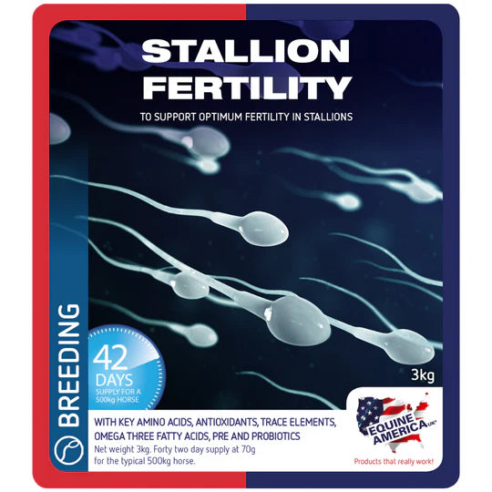 Fertilité des étalons Equine America