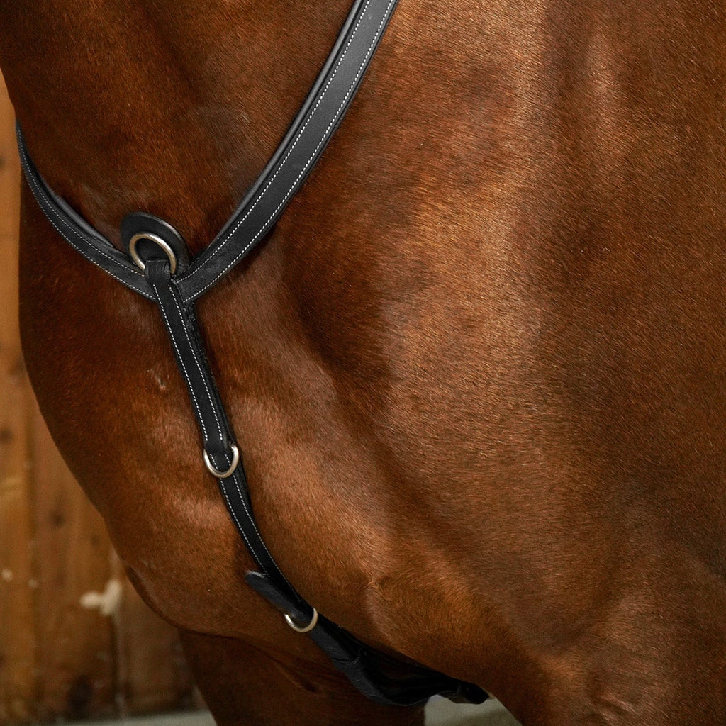 Dy'on Bridge Breastplate - Working Collection