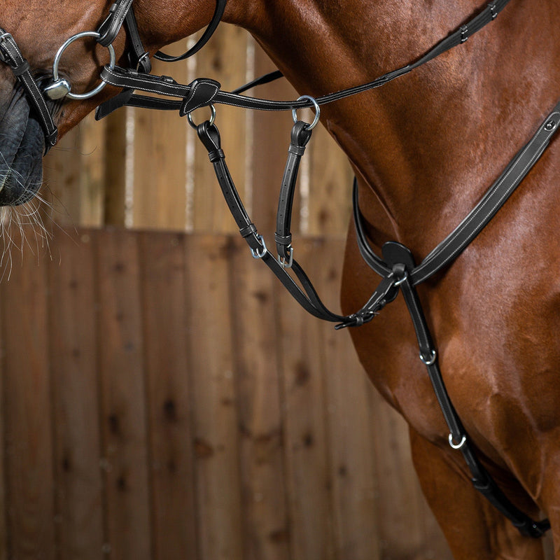 Dy'on Running Martingale Befestigung - Working Collection