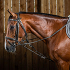 Longes en nylon Dy'on Gogue