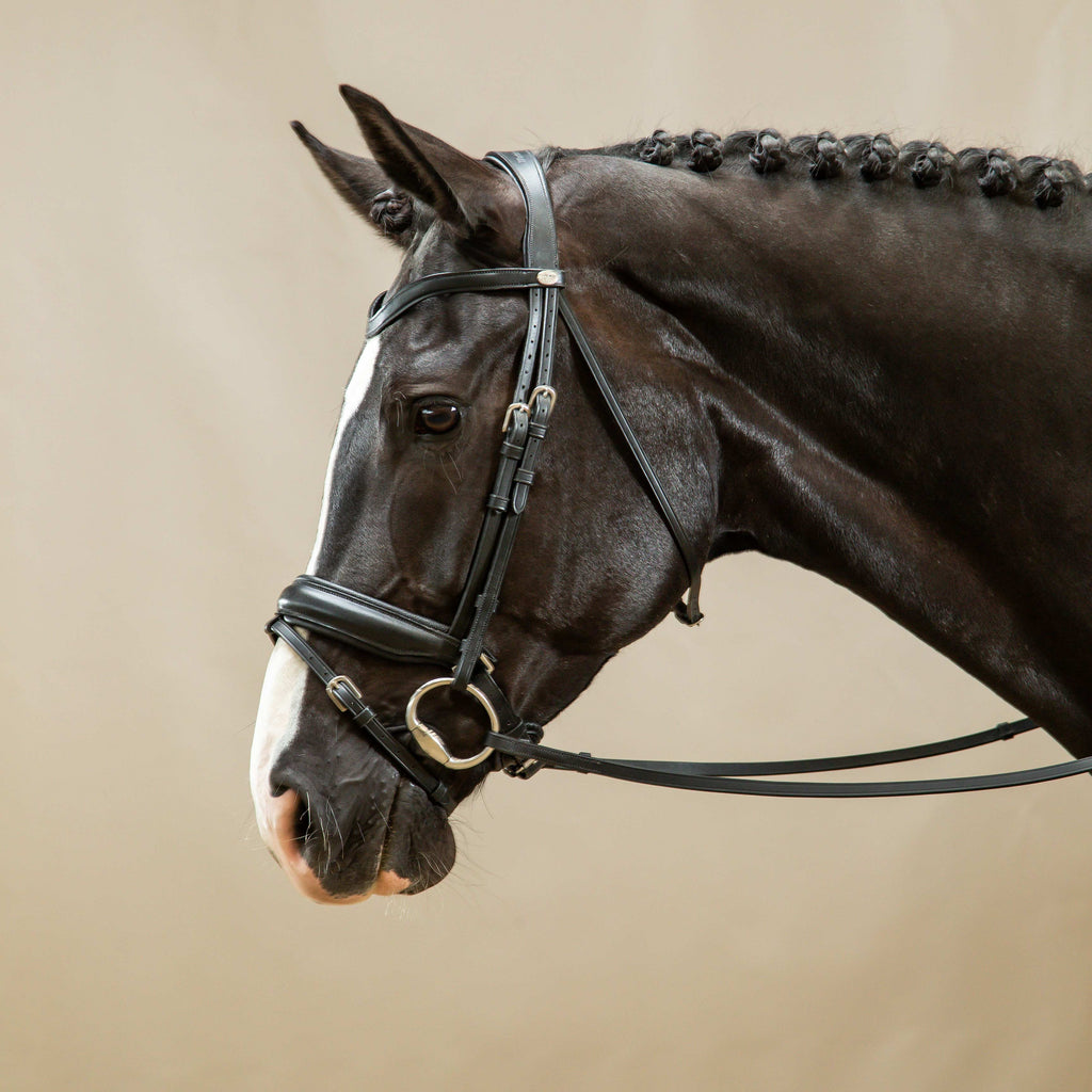 Dy'on Hoofdstel Gecombineerde Aansnoerneusriem Mat L - Working By Dy'on
