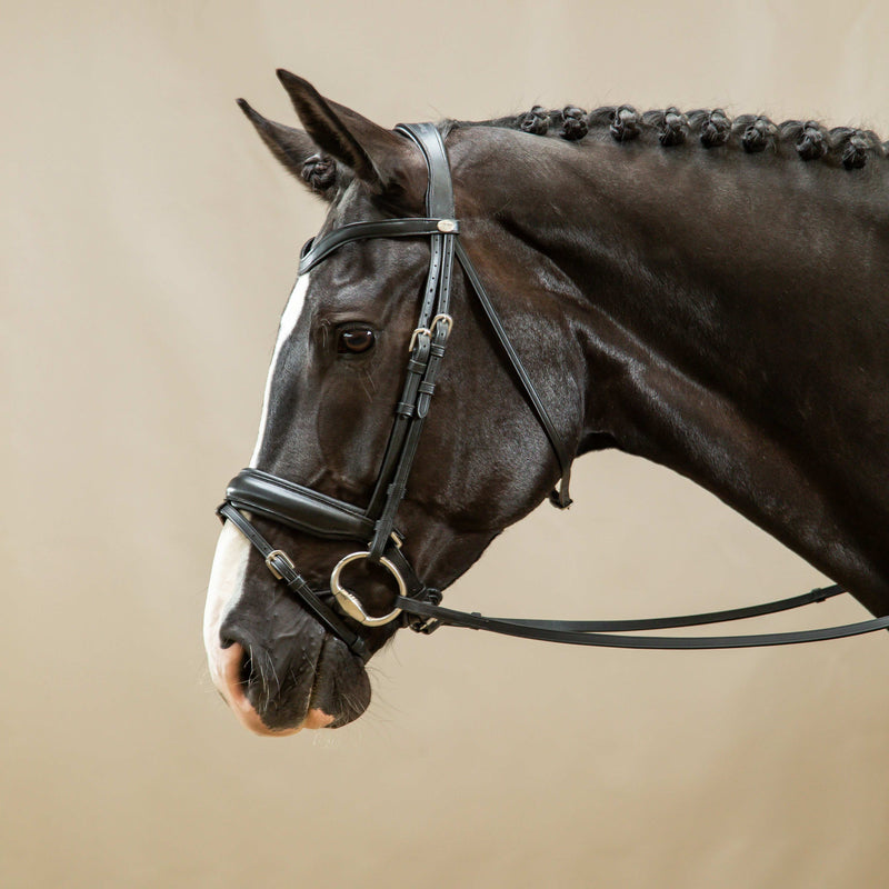 Dy'on Hoofdstel Gecombineerde Aansnoerneusriem Mat L - Working By Dy'on