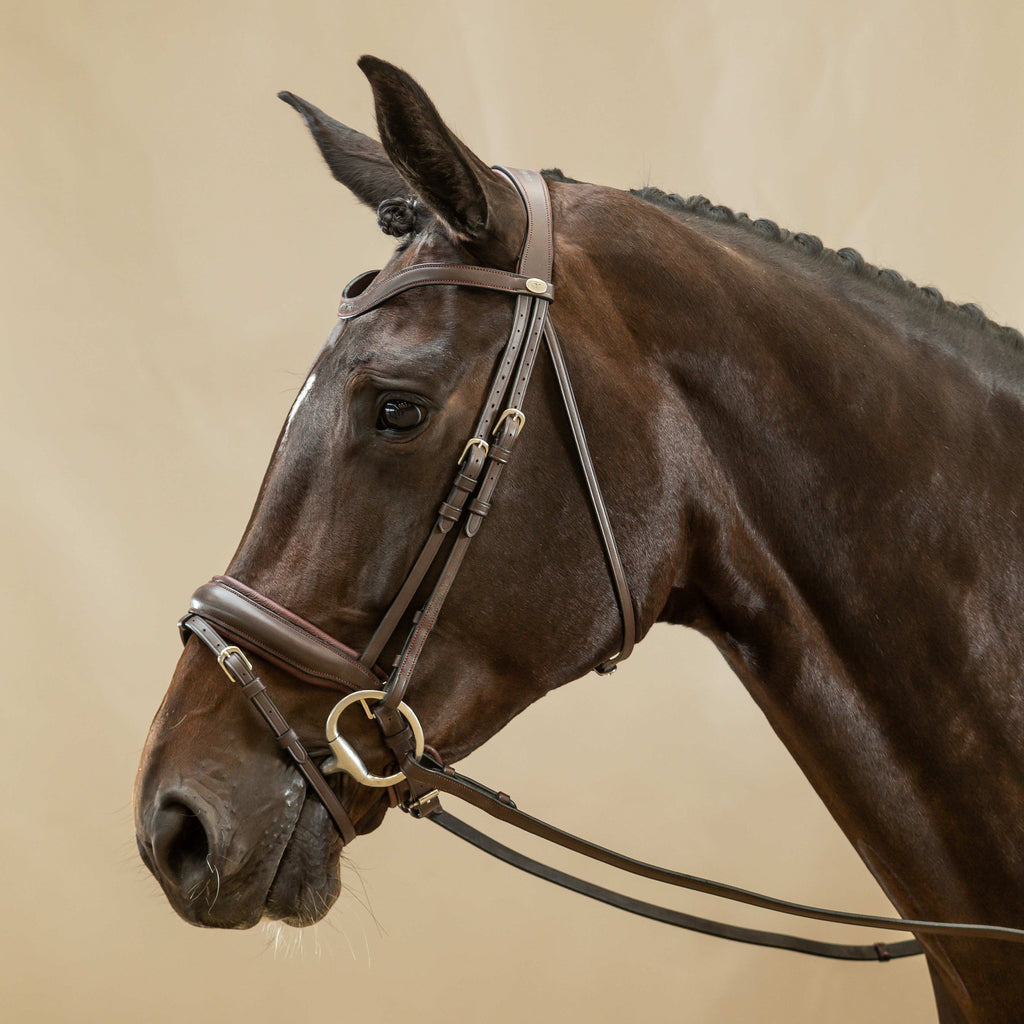 Dy'on Hoofdstel Gecombineerde Aansnoerneusriem Mat L - Working By Dy'on
