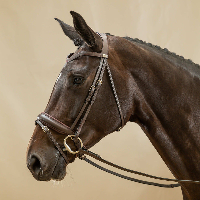 Dy'on Hoofdstel Gecombineerde Aansnoerneusriem Mat L - Working By Dy'on