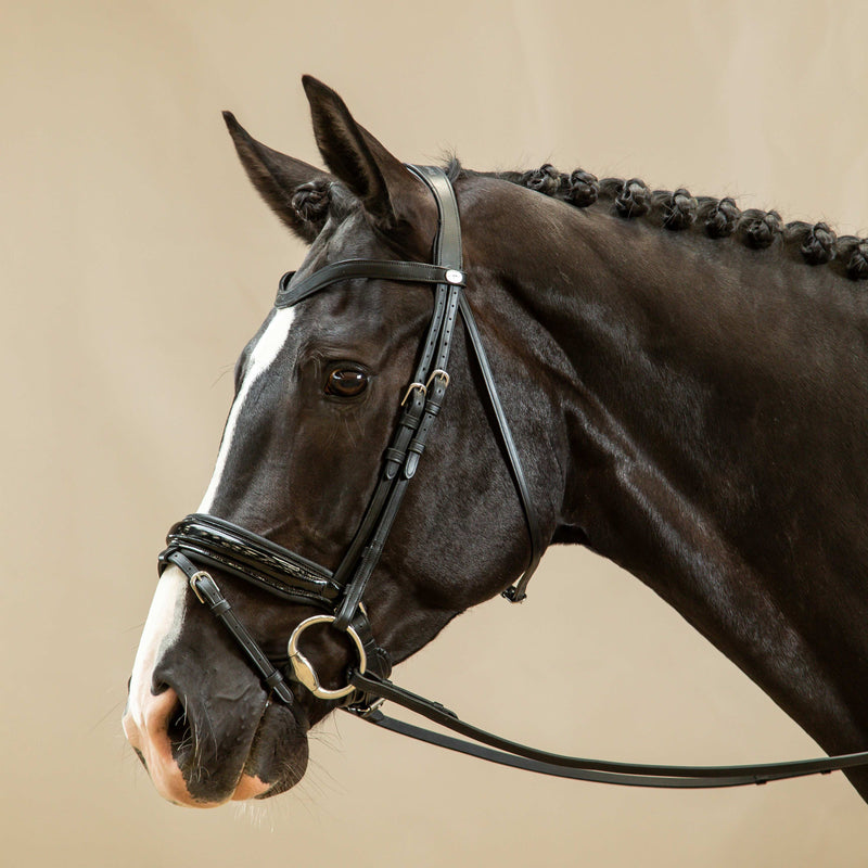 Dy'on Hoofdstel Gecombineerde Aansnoerneusriem Lak L - Working By Dy'on