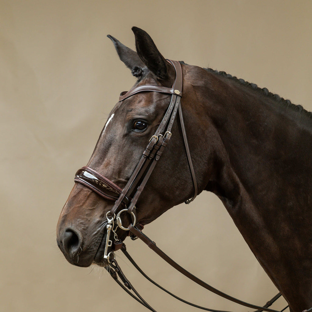 Dy'on S&T Hoofdstel Aansnoerneusriem - Lak L - Working By Dy'on