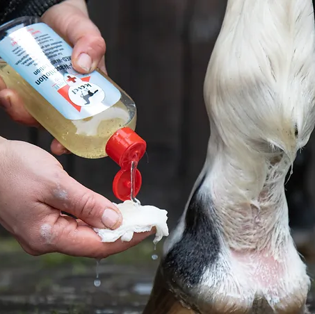 Leovet First Aid Med-Waslotion
